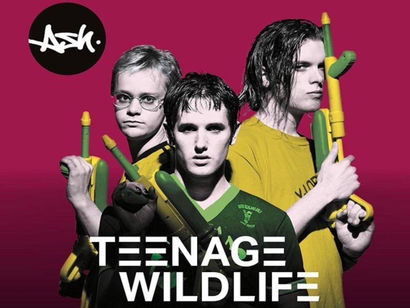 Album Review: Ash – Teenage Wildlife