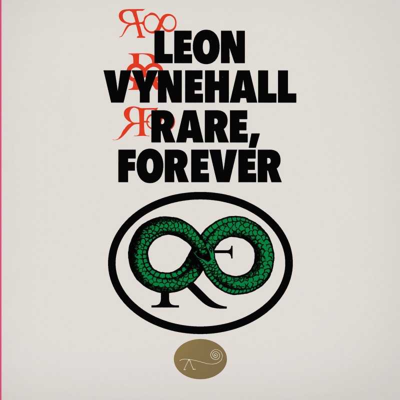Leon Vynehall rare, forever artwork