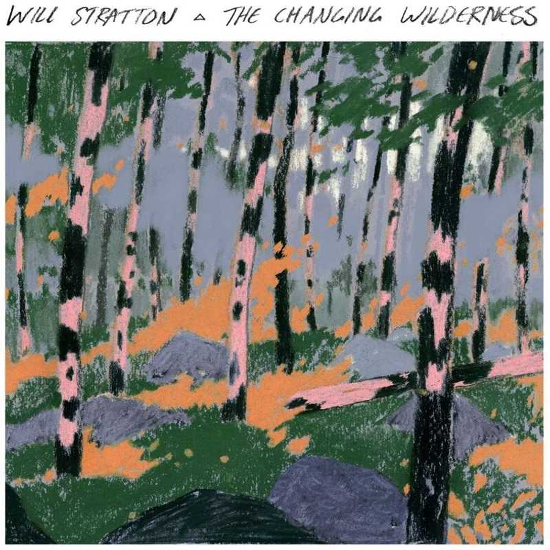 Will Stratton The Changing Wilderness artwork