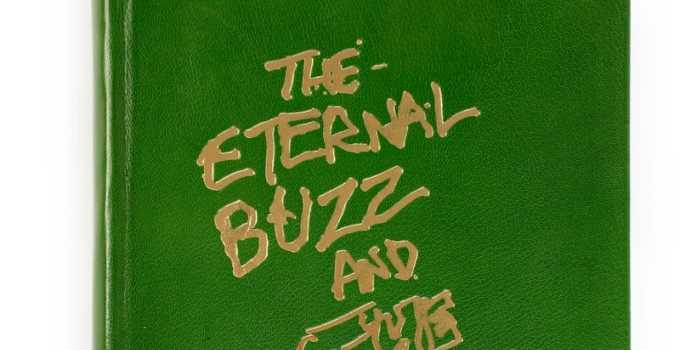 Shane MacGowan announces first art collection The Eternal Buzz And The Crock of Gold