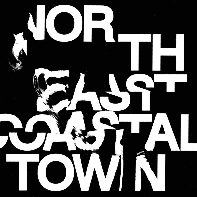 LIFE North East Coastal Town