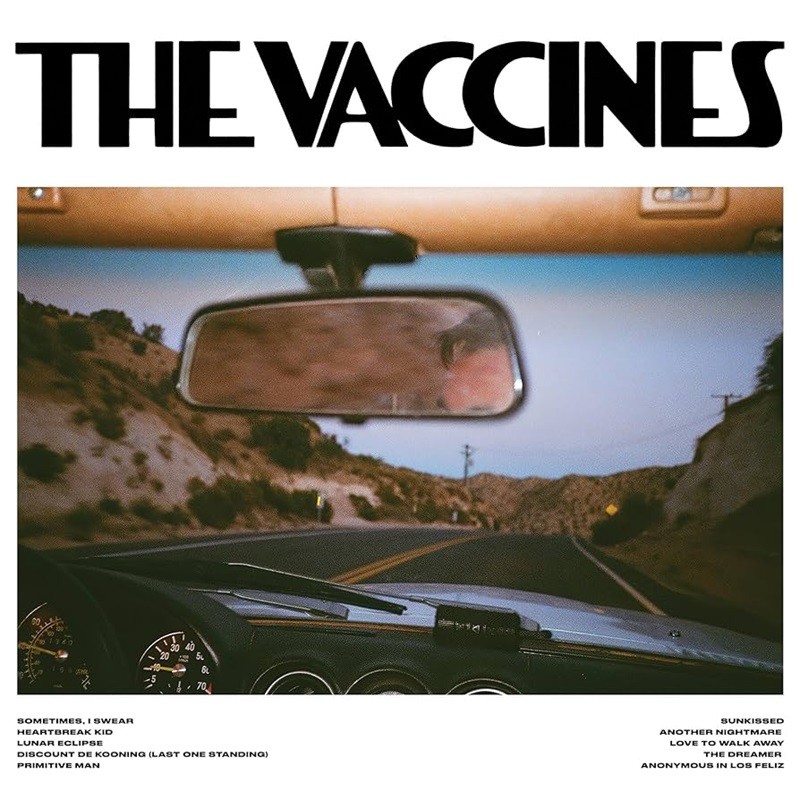 Artwork for The Vaccines' Pick-Up Full of Pink Carnations album