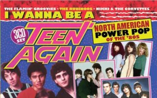 Artwork for the I Wanna Be A Teen Again compilation