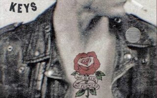 Artwork for The Black Keys' album No Rain No Flowers