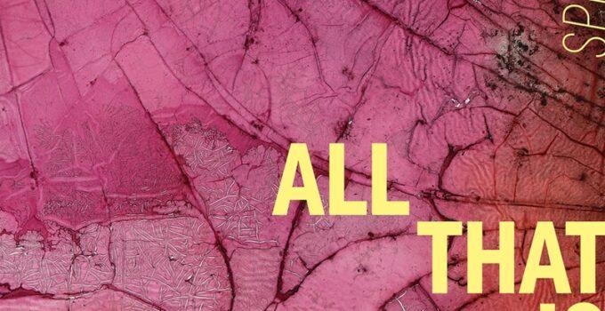 Sprints – All That Is Over: Album Review
