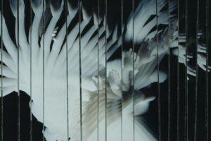 Scaler – Endlessly: Album Review