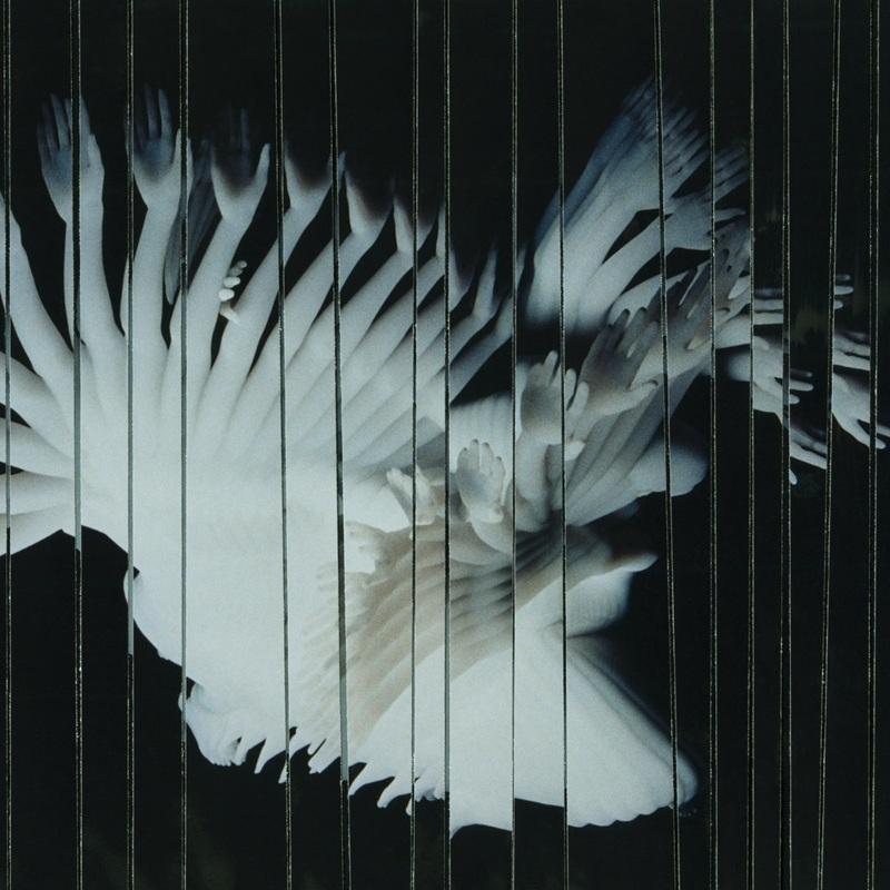 Artwork for the Scaler album Endlessly