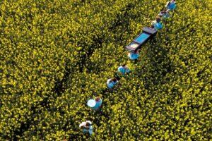 Pavey Ark – More Time, More Speed: Album Review