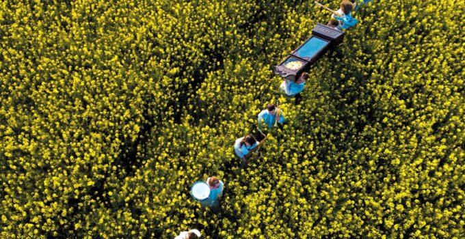 Pavey Ark – More Time, More Speed: Album Review