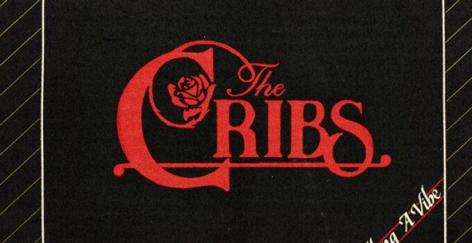 The Cribs – Selling A Vibe: Album Review