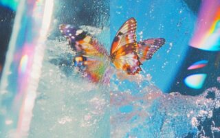 Daphni - Butterfly: Album Review 11 Artwork for the Daphni album Butterfly