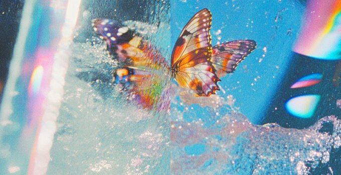 Daphni – Butterfly: Album Review