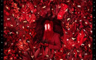 Artwork for the Iron And Wine album Hen's Teeth