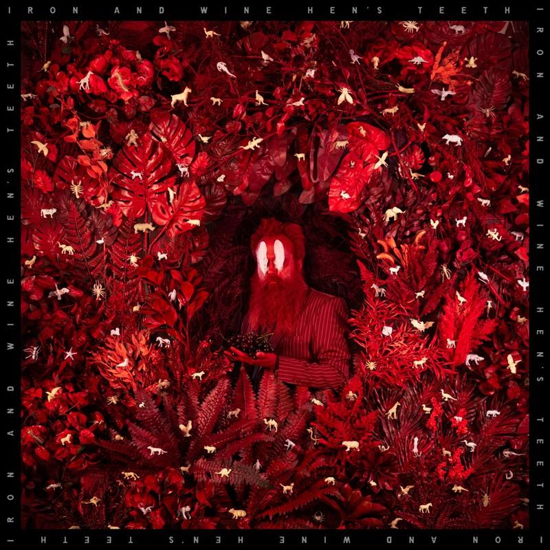 Artwork for the Iron And Wine album Hen's Teeth