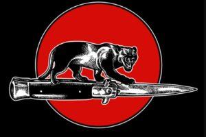 The jim jones all stars – cat fight: album review