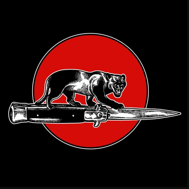 Artwork for the jim jones all stars album cat fight