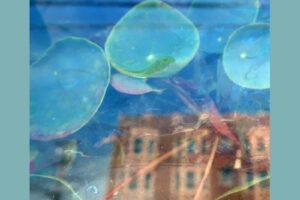 The reds pinks and purples – acknowledge kindness: album review