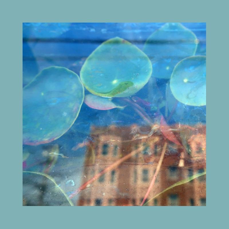 Artwork for the reds pinks and purples album acknowledge kindness